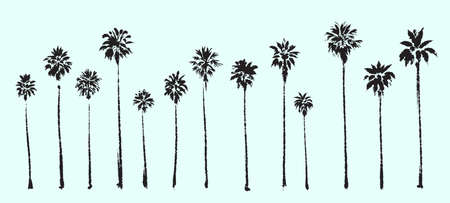 palm trees silhouette. Textured ink brush hand drawn vectorのイラスト素材