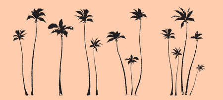 palm trees silhouette. Textured ink brush hand drawn vectorのイラスト素材