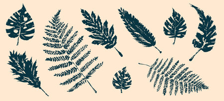 Tropical leaves collection. Vector isolated elements on the white background.のイラスト素材
