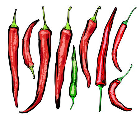 Red hot chili peppers. textured ink brush drawingのイラスト素材