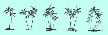 Palm trees. textured ink brush drawingのイラスト素材