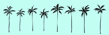 Palm trees. textured ink brush drawingのイラスト素材