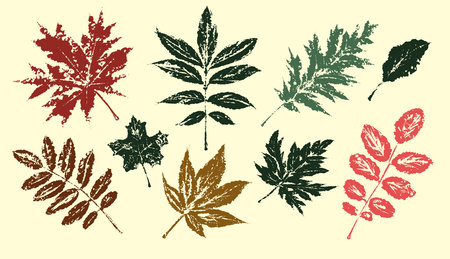 tropical leaves. textured ink brush drawingのイラスト素材