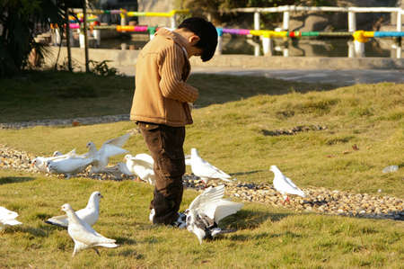 Little boy feeding the doveのeditorial素材