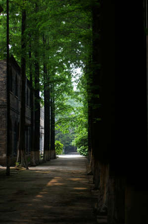 Landscape view of a row of old buildings