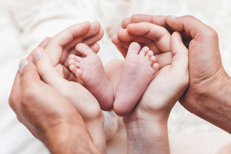 Leg of the newborn in the hands of father and motherの写真素材