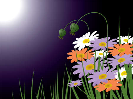 colorful chamomiles on the meadow in the light of the moonのイラスト素材