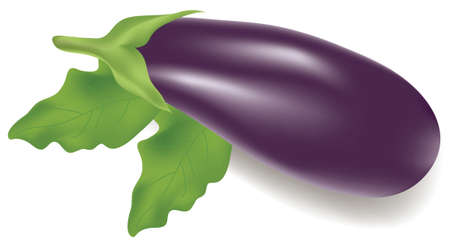 vector illustration of an eggplant with leavesのイラスト素材