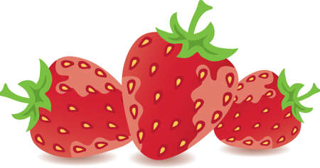 vector strawberries のイラスト素材