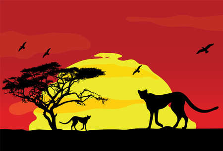 wild african animals at sunset.のイラスト素材