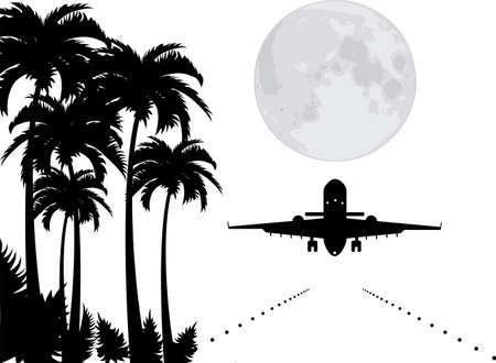 vector palms, moon and plane over runway のイラスト素材