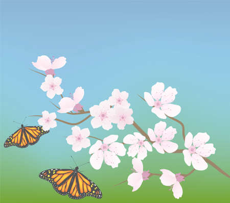cherry branch and butterfliesのイラスト素材