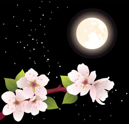 vector cherry branch and moonのイラスト素材
