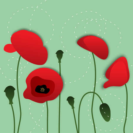 vector paper poppy flowers, floral backgroundのイラスト素材