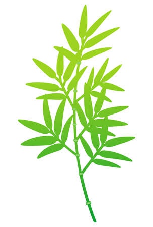 Illustration of green bamboo branchのイラスト素材