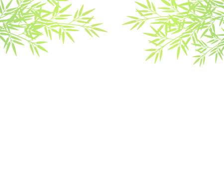 Illustration of bamboo branchのイラスト素材