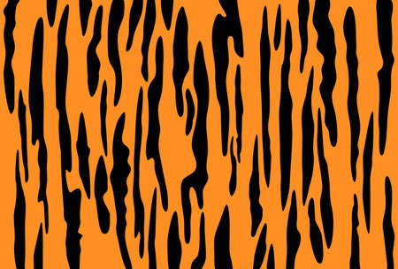 Horizontal postcard template with orange and black tiger patternのイラスト素材