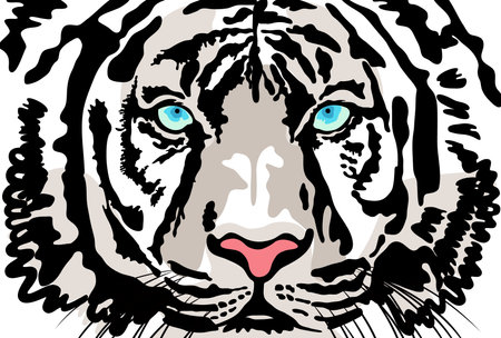 Illustration of the face of a white tiger facing the front [postcard size]のイラスト素材