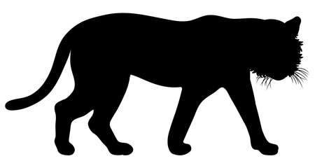 Full body silhouette illustration of a walking tigerのイラスト素材