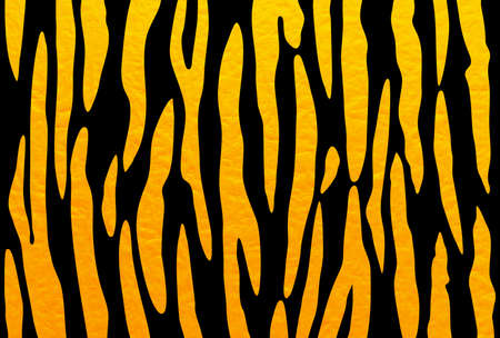 Gold and black tiger pattern with Japanese paper texture  "horizontal design".のイラスト素材