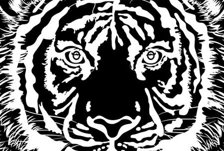 Black-and-white illustration of a tiger's face up "postcard template"のイラスト素材