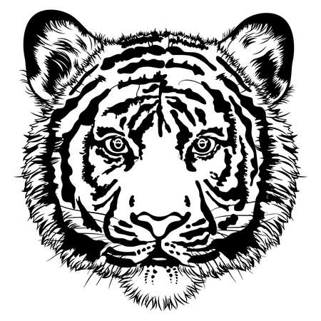 Black and white illustration of a tiger's faceのイラスト素材