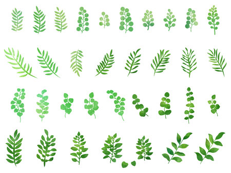 An illustration set of plant leaves.ãThis is an icon set depicting various leaves in watercolor style.のイラスト素材