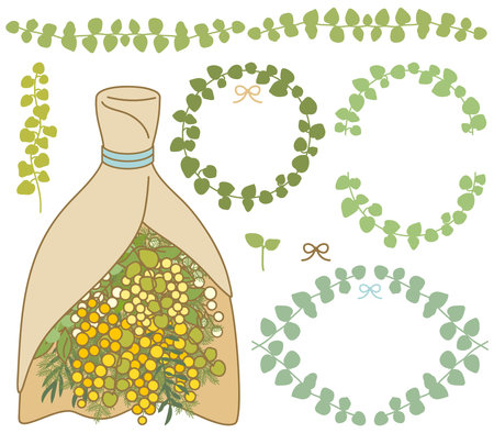 A decorative illustration of a mimosa bouquet and ivy.ãA set of plant material color illustrations.のイラスト素材
