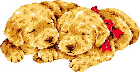 dogh-2のイラスト素材