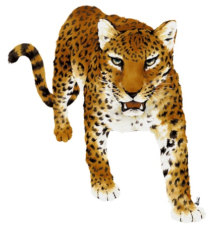 Pantherの写真素材