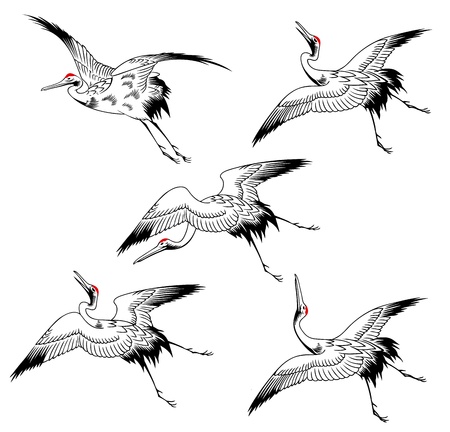 A Japanese craneのイラスト素材