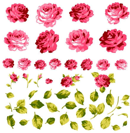 roses collectionのイラスト素材