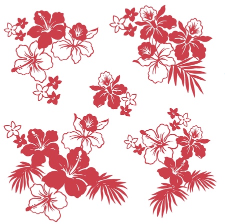 Hibiscusのイラスト素材