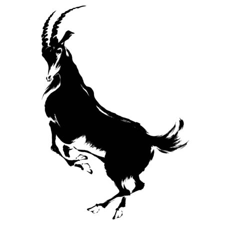 sheep Japanese の写真素材