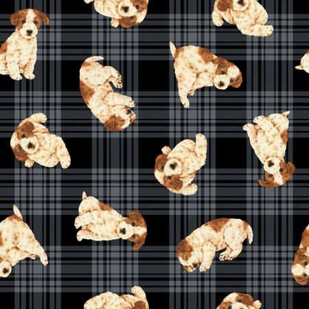 Dog patternの写真素材