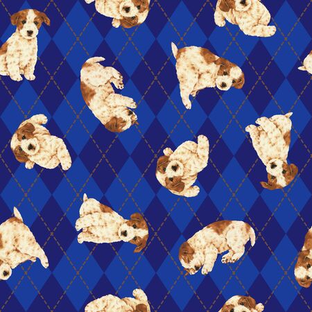 Dog patternの写真素材