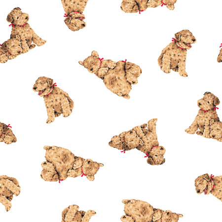 Dog patternの写真素材