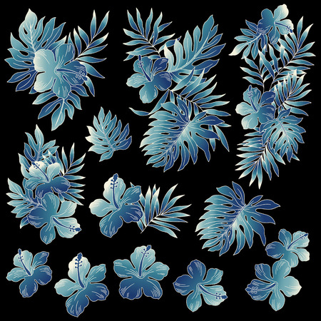 illustration of Hibiscusのイラスト素材