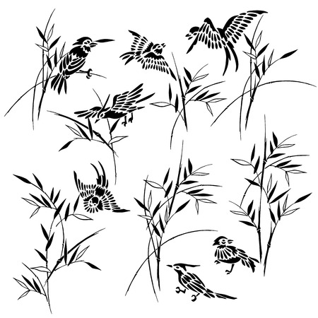 Bamboo bird illustration,のイラスト素材
