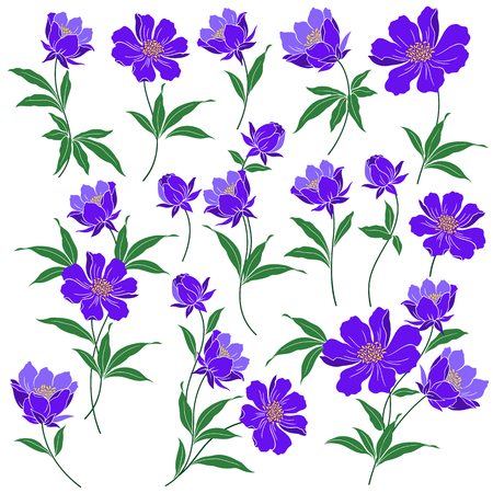 Flower illustration objectのイラスト素材