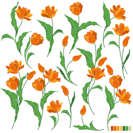 Flower illustration objectのイラスト素材