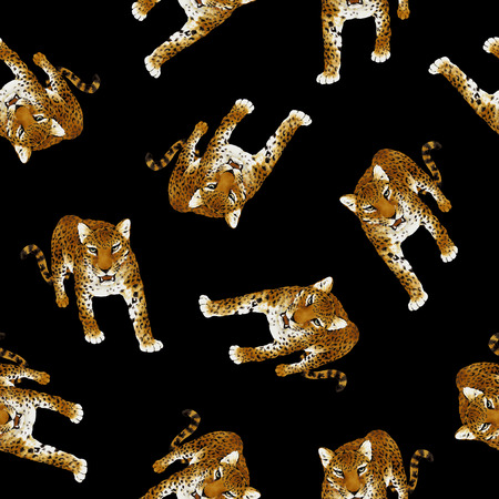 Panther pardus patternの写真素材