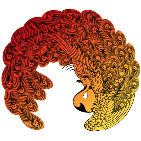 Japanese style peacockのイラスト素材
