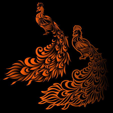 Illustration of the peacock,のイラスト素材