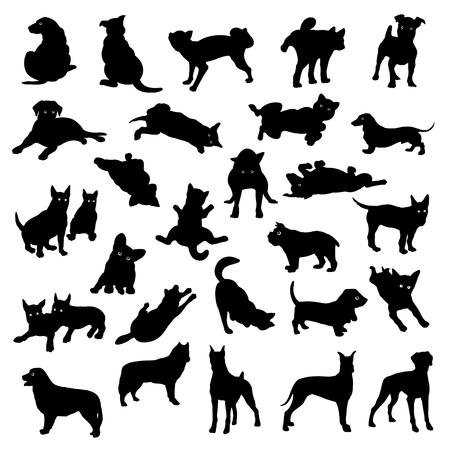 Dog illustration material on white background.のイラスト素材