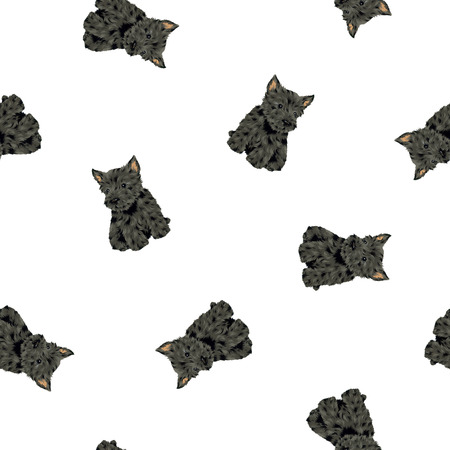 Pretty dog patternの写真素材