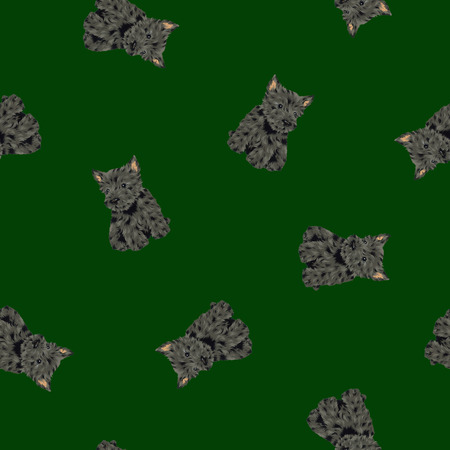 Pretty dog patternの写真素材