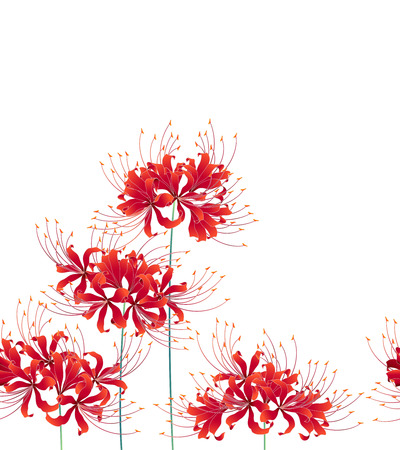 Japanese style cluster amaryllis pattern, Design of a Japanese style cluster amaryllis, It is used for a kimonoのイラスト素材