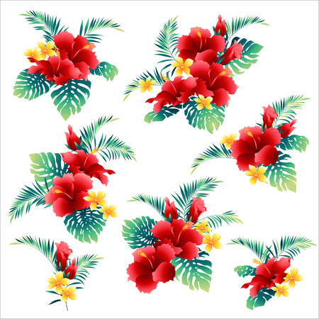 Hibiscus flower illustration I drew Hibiscus for designing it, It is a vector work.のイラスト素材