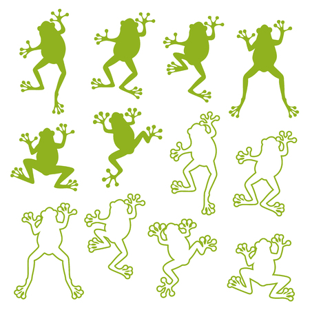 Green Frog illustration.のイラスト素材